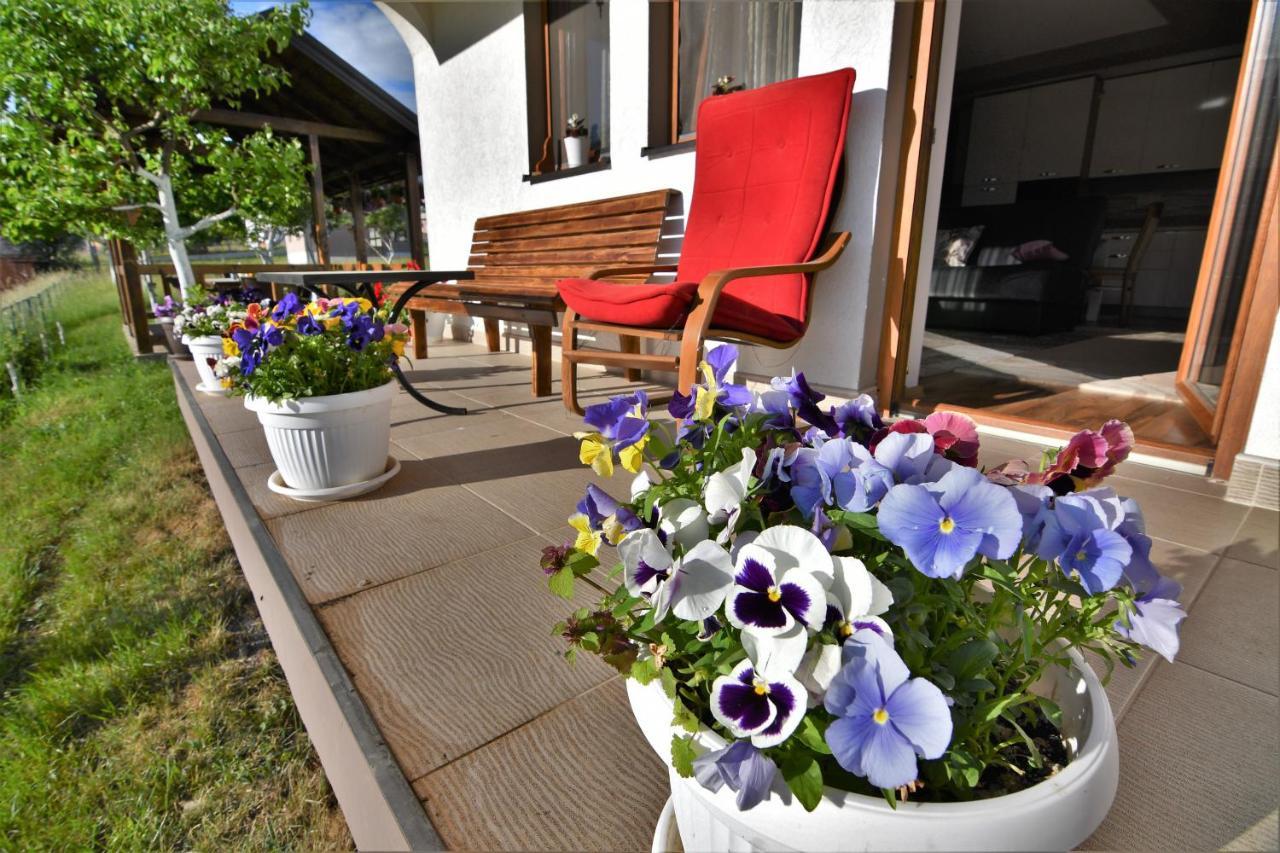 Guest House Blue Views Πλαβ Εξωτερικό φωτογραφία